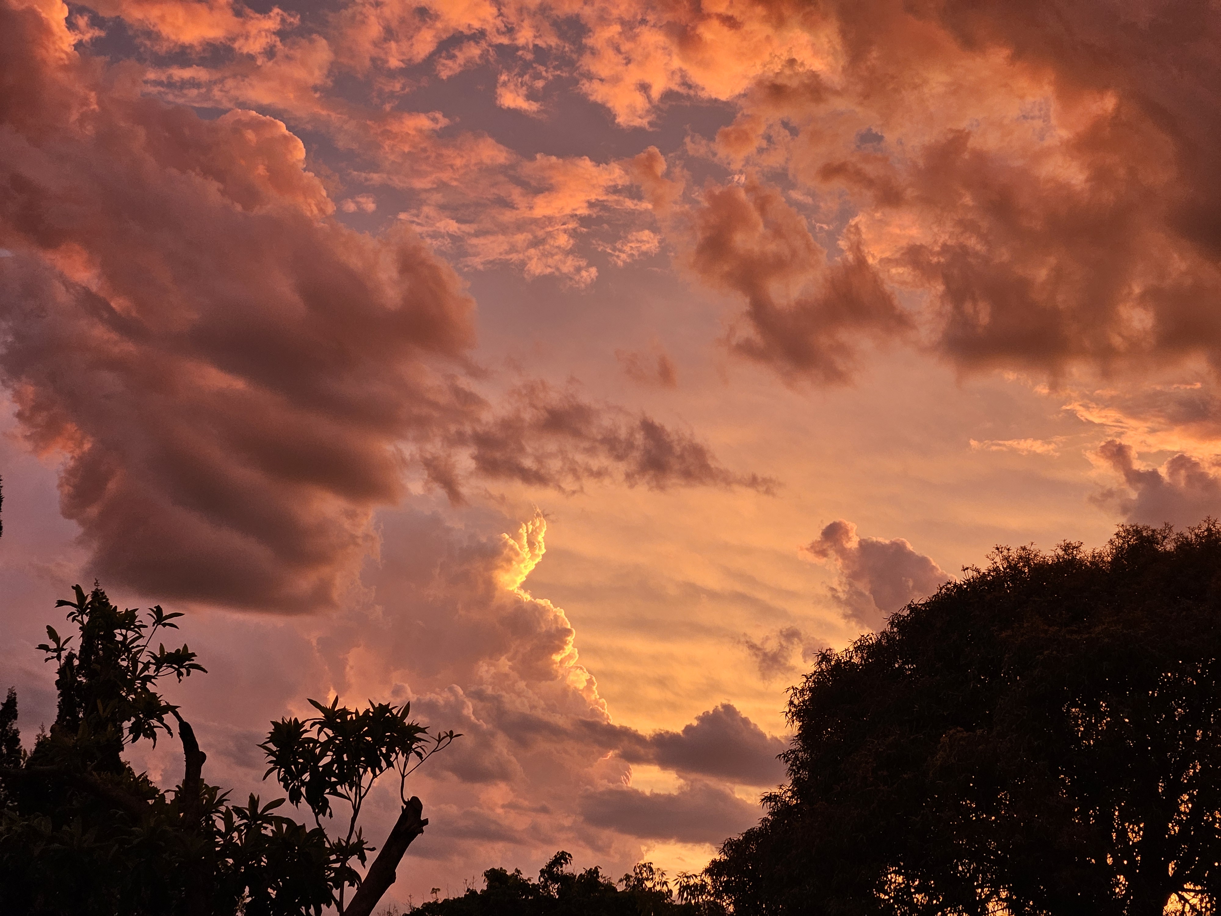 Ipswich Sky